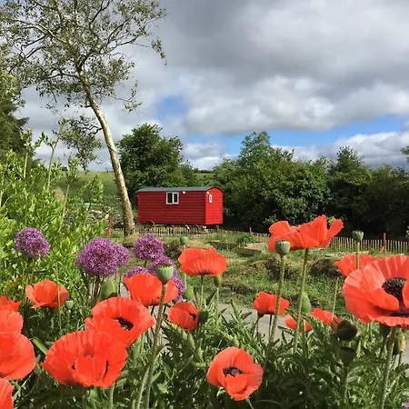 Holiday home Ballyroe *